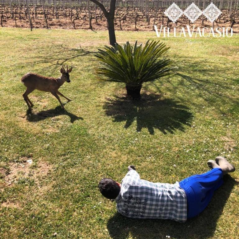 Agriturismo Eco-Bio Villa Vacasioピティリアーノ エクステリア 写真
